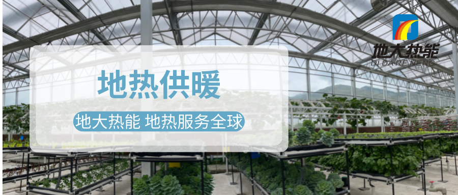 發(fā)揮地?zé)豳Y源優(yōu)勢(shì)，地?zé)徂r(nóng)業(yè)實(shí)現(xiàn)花卉產(chǎn)業(yè)特色發(fā)展 | 地大熱能 地?zé)岱?wù)全球